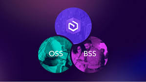 OSS/BSS Modernization
